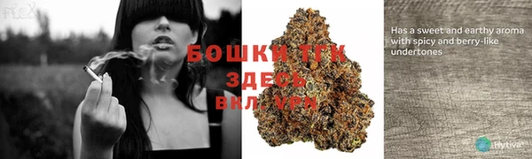 mdpv Белокуриха