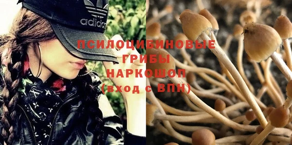 mdpv Белокуриха