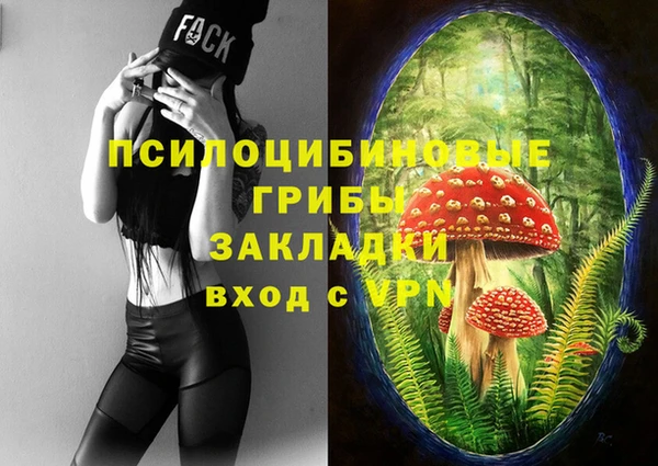 mdpv Белокуриха
