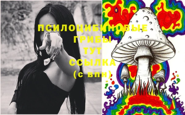mdpv Белокуриха