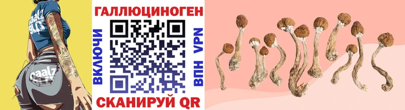 Псилоцибиновые грибы Psilocybine cubensis  Купить  Северо-Курильск 